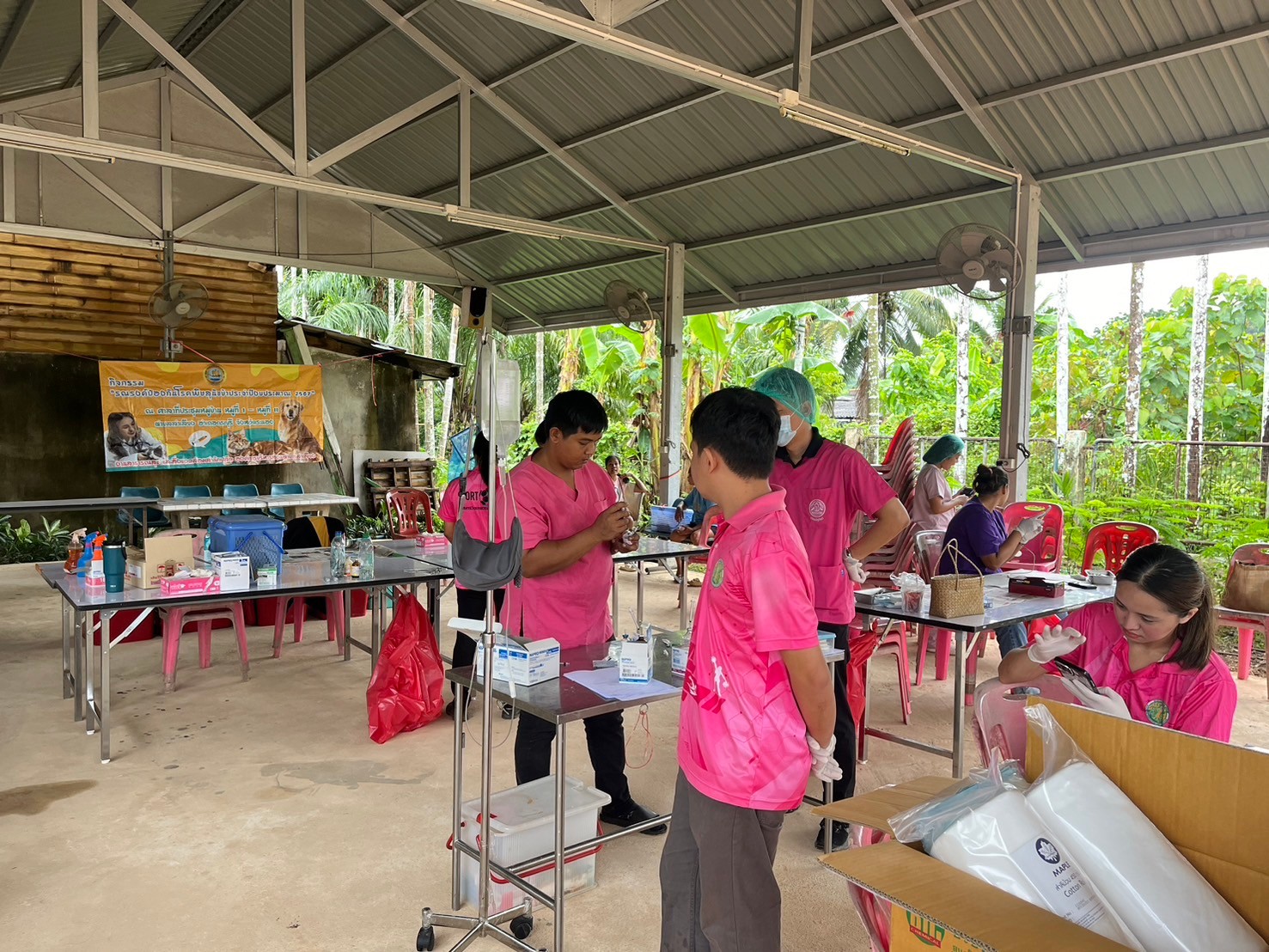 กิจกรรมทำหมันสุนัขและแมว ประจำปีงบประมาณ พ.ศ. 2567