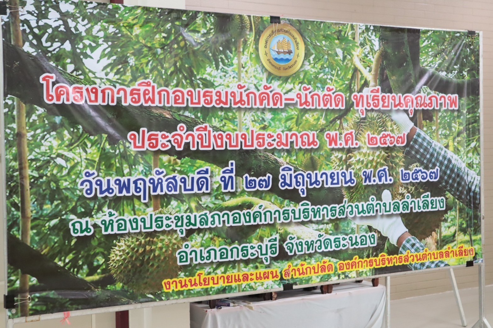 โครงการฝึกอบรมนักคัด-นักตัด ทุเรียนคุณภาพ