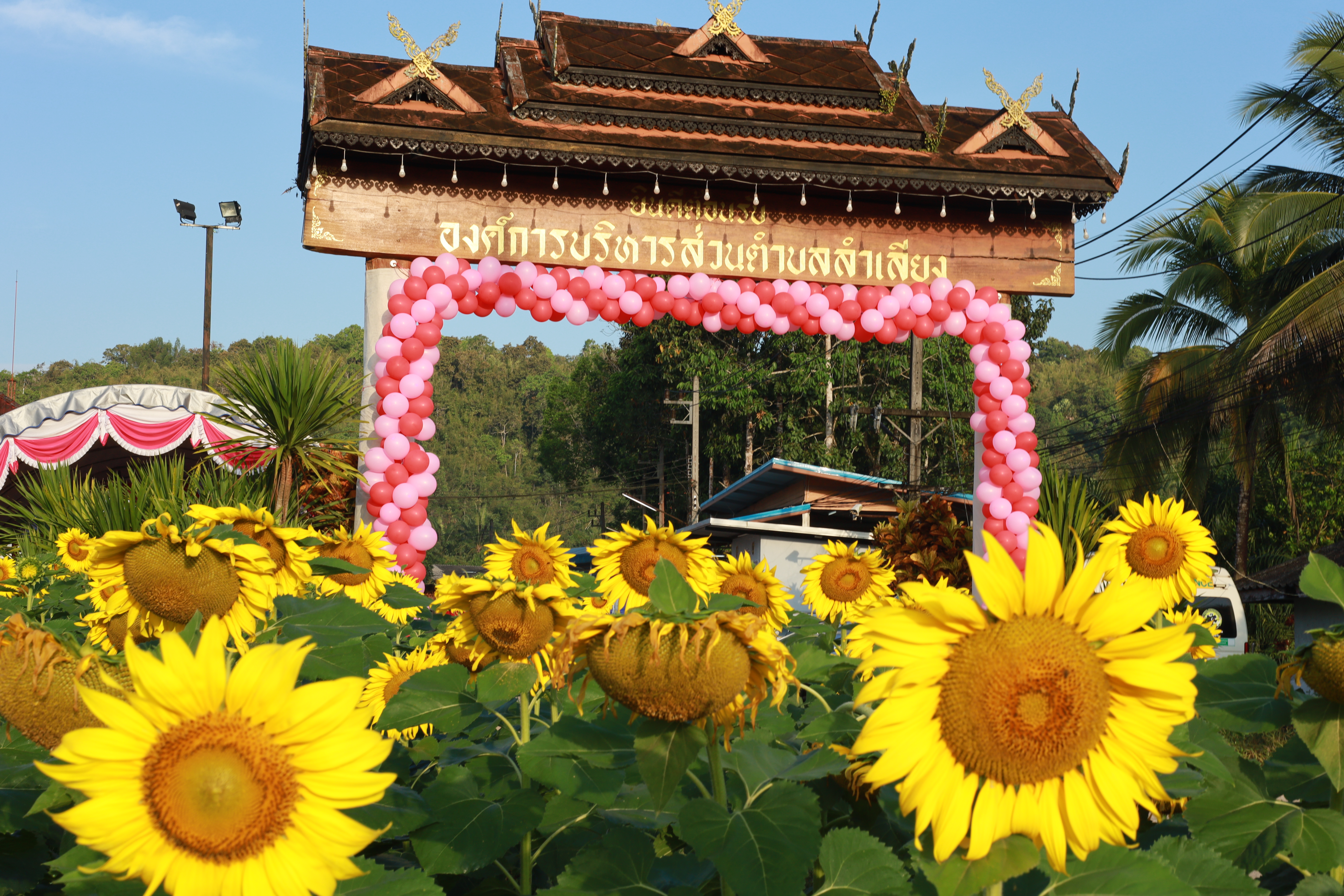 จัดกิจกรรมวันเด็กแห่งชาติ ประจำปี 2568