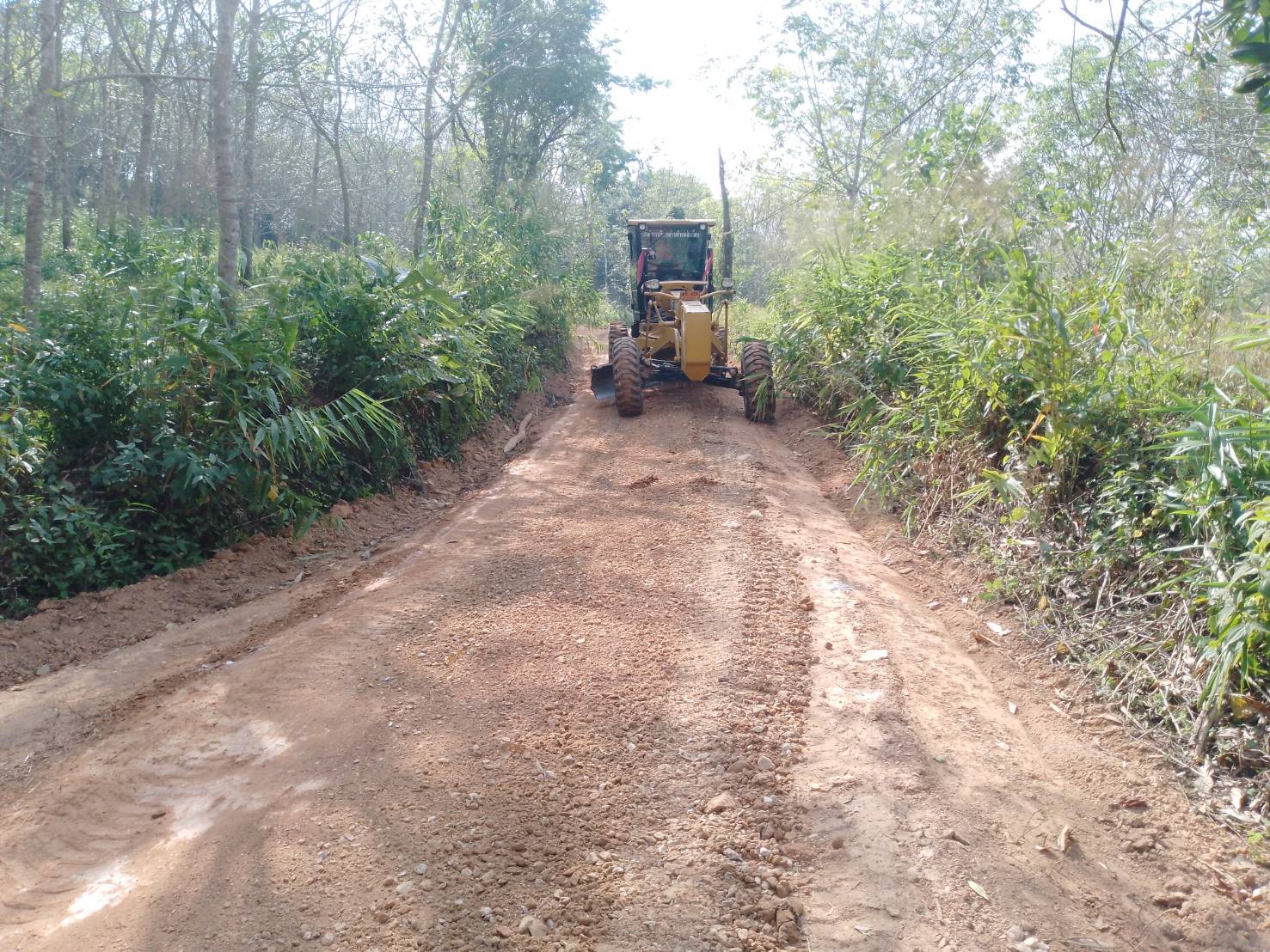 🚜🚒ภารกิจวันที่ 14 มกราคม 2569 🚜🚒
เจ้าหน้าที่เทศบาลตำบลลำเลียงออกปฏิบัติหน้าที่ เพื่อบรรเทาความเดือดร้อนของประชาชนในพื้นที่ ดังนี้